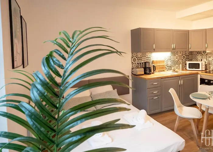 Le Lagon / 100m Gare * Tours